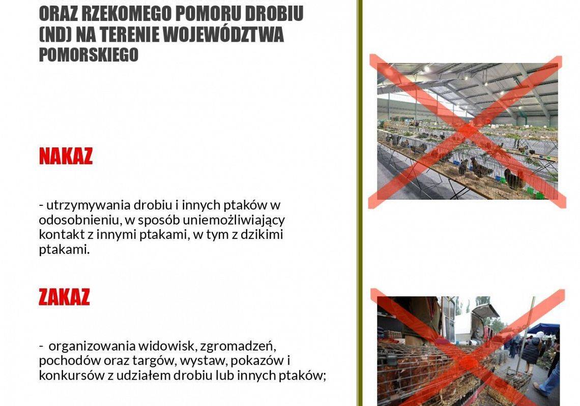 Rozporządzenie Wojewody