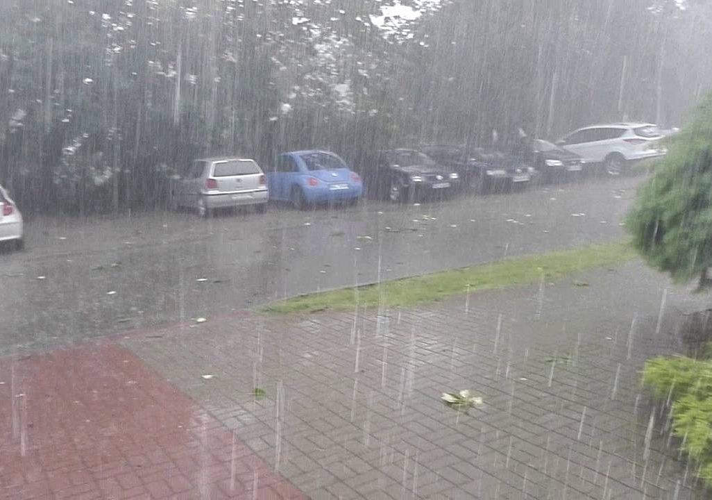 SPOSÓB ZACHOWANIA SIĘ W