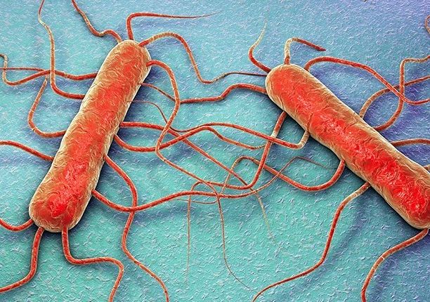 Informacja dla biur podróży