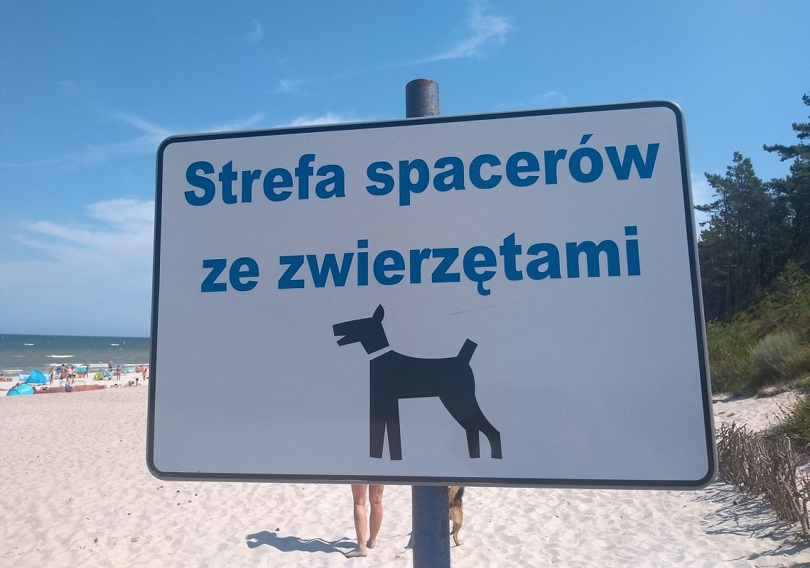 Kolejna plaża dla psów w