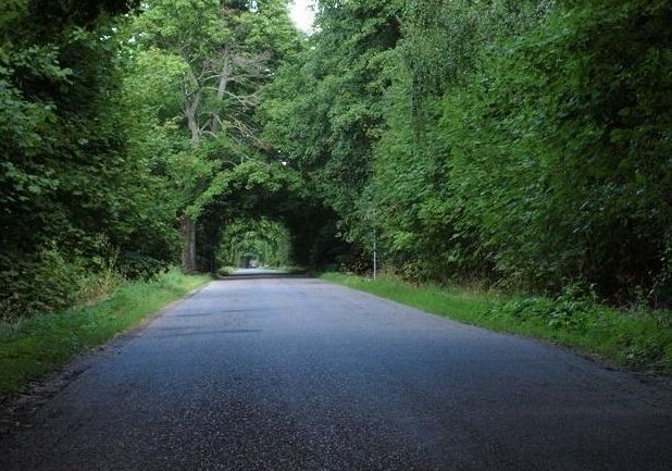 Z Janowic do Redkowic nową