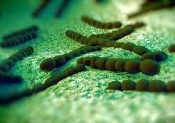 Warto zaszczepić się przeciw