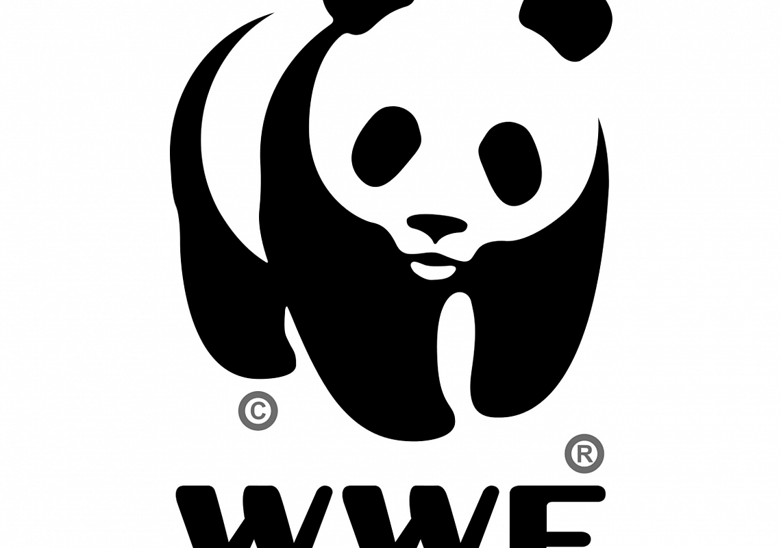 Akcja „Godzina dla Ziemi WWF”