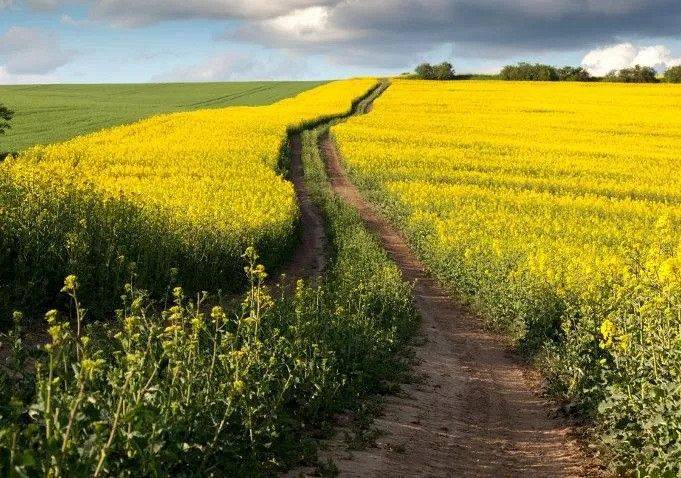 Konkursu Piękna Wieś Pomorska