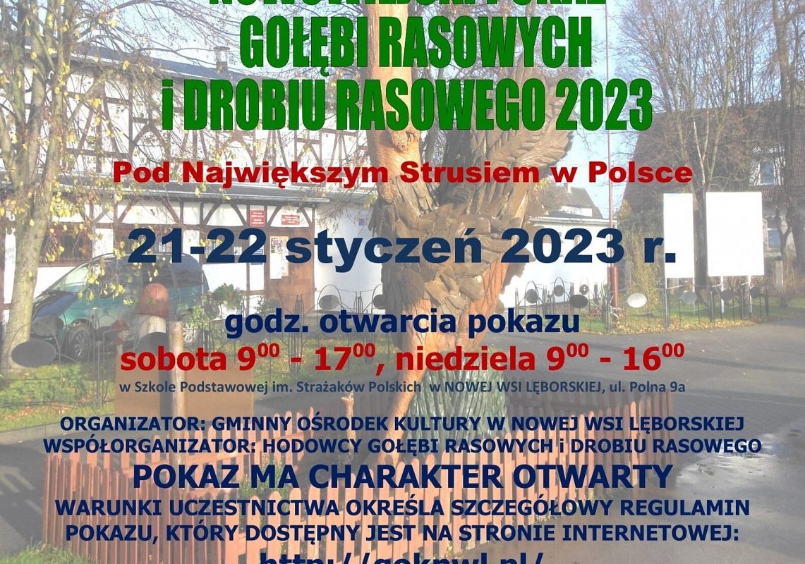 Nowowiejski pokaz gołębi