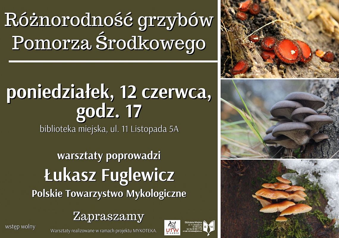 Różnorodność grzybów Pomorza
