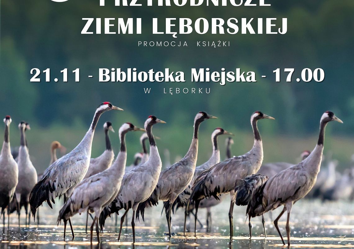 Osobliwości przyrodnicze Ziemi