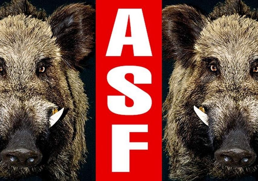 grafika ilustracyjna