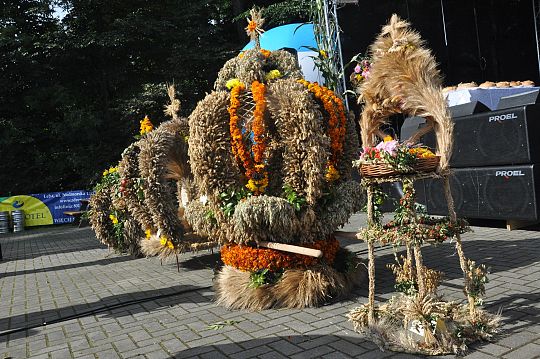 Konkurs na najładniejszy