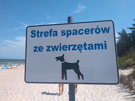 Kolejna plaża dla psów w