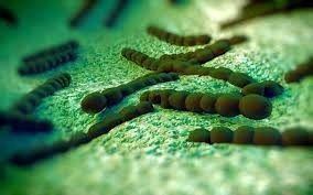 Warto zaszczepić się przeciw