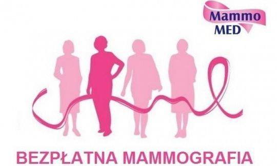 Mammobus przy starostwie