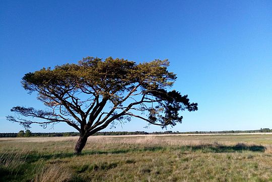 Ostatni moment na głosowanie