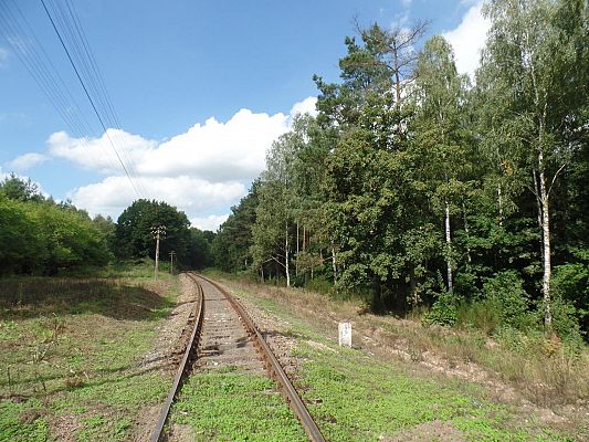 Kolej do Łeby – to priorytet