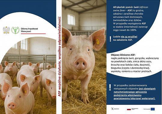 Ryzyko ASF wciąż wysokie