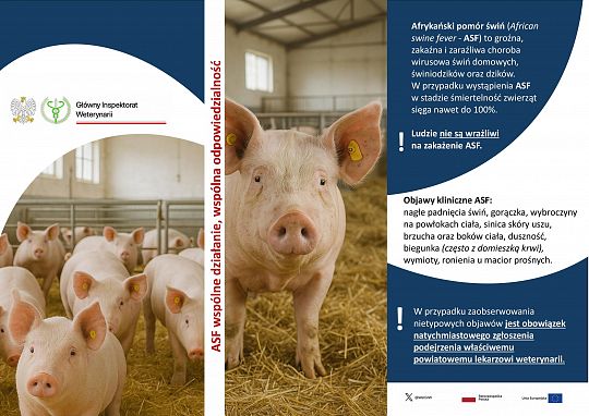 Komunikat Powiatowego Lekarza