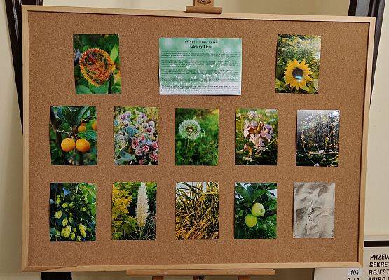 Fotograficzne impresje Adriany