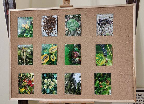 Fotograficzne impresje Adriany