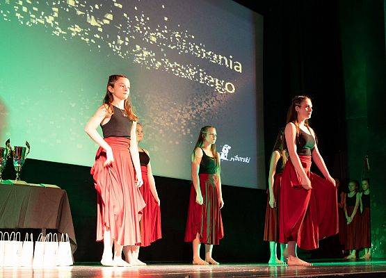 XIX Gala Sportu Powiatu