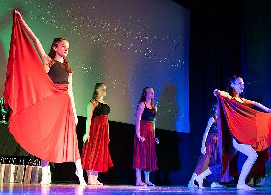 XIX Gala Sportu Powiatu