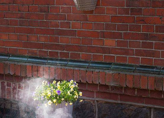 Uroczystości pod tablicą