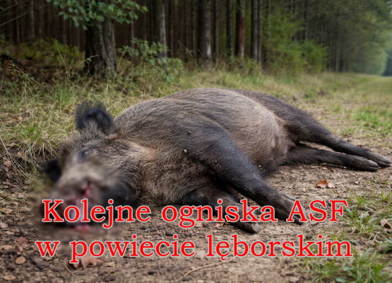 Grafika ilustracyjna