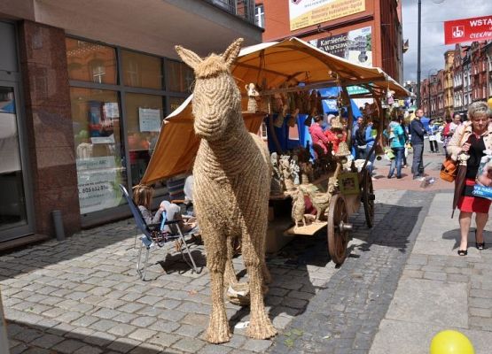 Promocja projektu RECReate