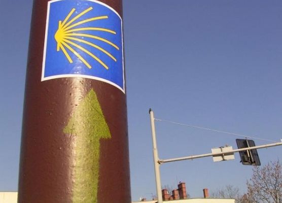 HONOROWE PATRONATY NAD