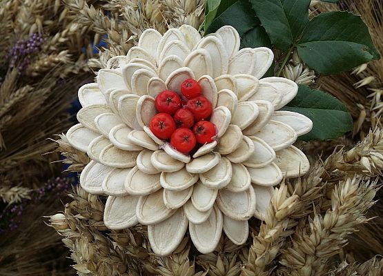 Dożynki Wojewódzkie w Swołowie