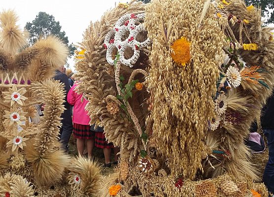Dożynki Wojewódzkie w Swołowie
