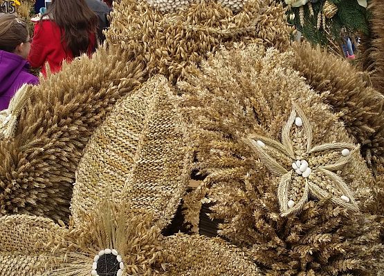 Dożynki Wojewódzkie w Swołowie