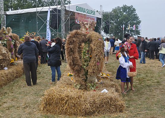 Dożynki Wojewódzkie w Swołowie