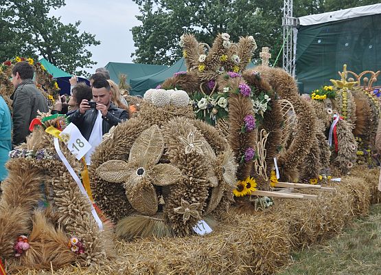 Dożynki Wojewódzkie w Swołowie