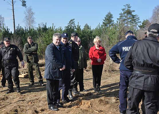 AKCJA SADZENIA LASU ,,LAS