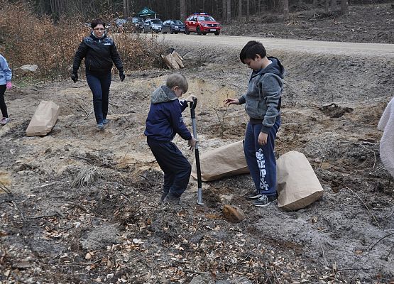 100 mln drzew do 2017 roku