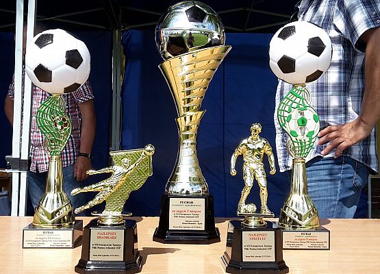 VII Powiatowy Turniej Piłki