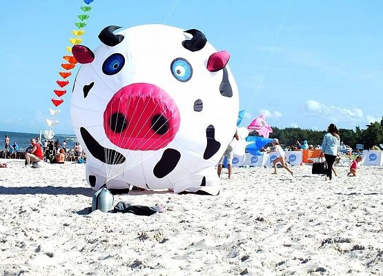 VI Międzynarodowy Festiwal