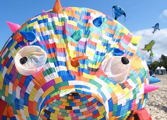 VI Międzynarodowy Festiwal