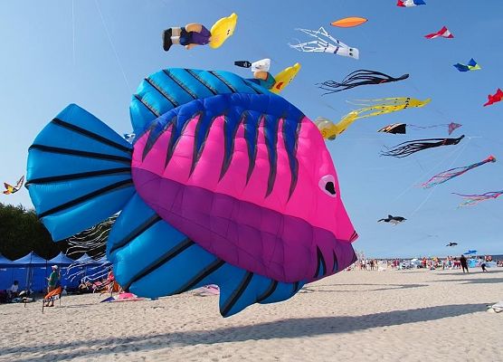 VI Międzynarodowy Festiwal