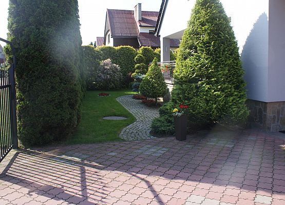 Protokół z podsumowania