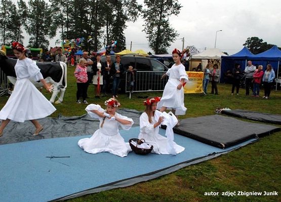 XVI Dożynki Powiatowe za nami