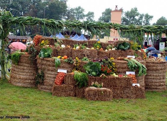 XVI Dożynki Powiatowe za nami