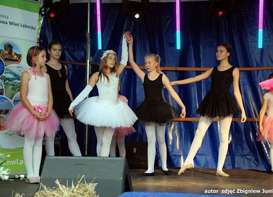 XVI Dożynki Powiatowe za nami