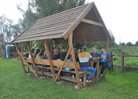 Obchody Europejskiego Dnia bez