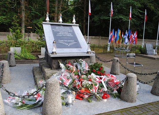 Uroczystość patriotyczno –