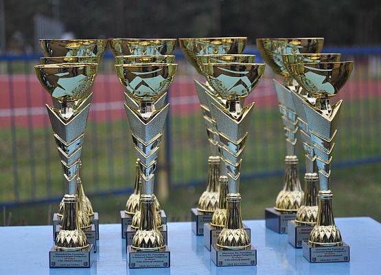 Mistrzostwa Województwa