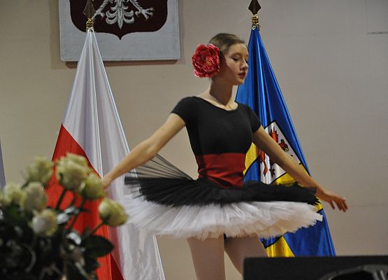 Powiatowe obchody Dnia