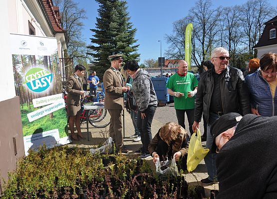 Drzewko za makulaturę