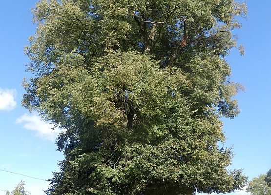 Gmina Nowa Wieś Lęborska