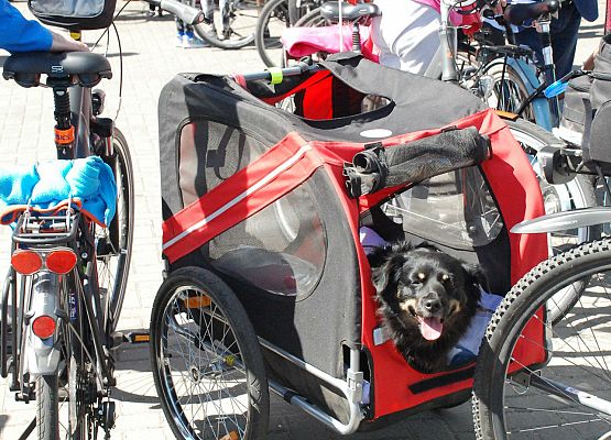 Rowerowa Masa Krytyczna 2017